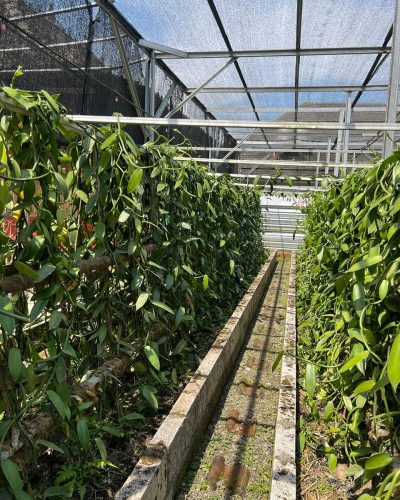 WhatsApp Image 2025-10-11 at 22.57.12